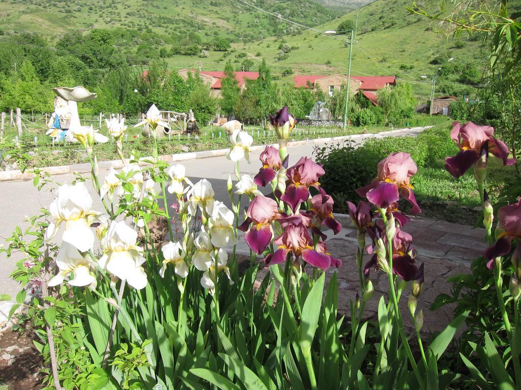 Lucytour Hotel Hermon Bagian luar foto